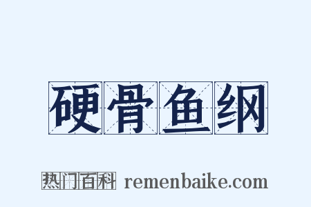 硬骨鱼纲是什么意思的图片